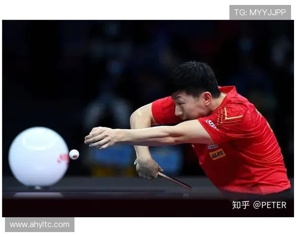 武汉乒乓球队的耐力训练与发展探索专题分析