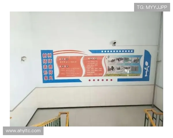 重庆排球队拼搏历程揭秘努力与汗水铸就辉煌成就
