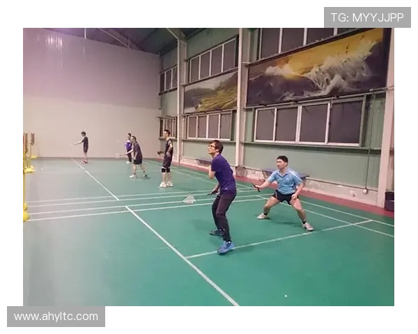 成都羽毛球队快攻革新之路探索与实践分析 成都羽毛球队快攻革新之路探索与实践分析