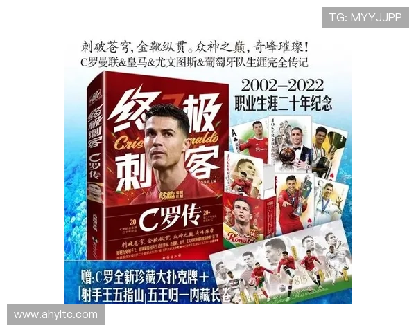 探寻足球场上的传奇之路四号明星的辉煌与挑战