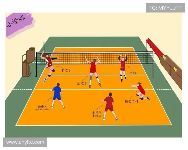 武汉排球队在锦标赛中的速度优势与战术解析 武汉排球队在锦标赛中的速度优势与战术解析