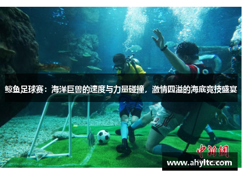 鲸鱼足球赛：海洋巨兽的速度与力量碰撞，激情四溢的海底竞技盛宴